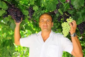 Manisa &uuml;z&uuml;m&uuml; &ccedil;eşitleniyor