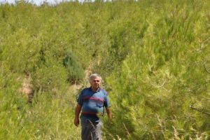 Bu kez Orman İdaresi tapulu araziyi işgal etti