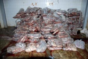 23 ton ka&ccedil;ak et imha edildi