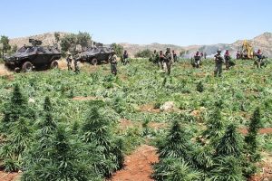 Uyuşturucu tacirlerine g&ouml;z a&ccedil;tırılmıyor