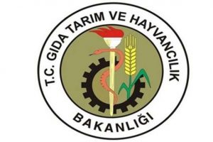 Bakanlık'tan sert a&ccedil;ıklama