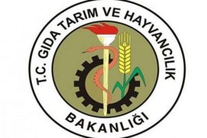 Bakanlık'tan sert a&ccedil;ıklama