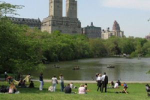 New York parklarında &ouml;zg&uuml;rl&uuml;k kurala bağlı