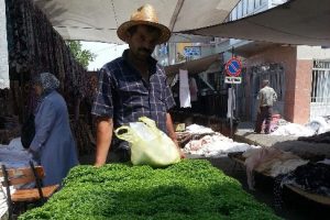 Sivrisinek ilham oldu, hem iş hem de para buldu