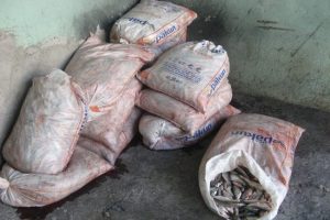 Ka&ccedil;ak balık operasyonu
