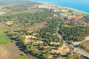 2B arazilerinden ne kadar gelir elde edildi?