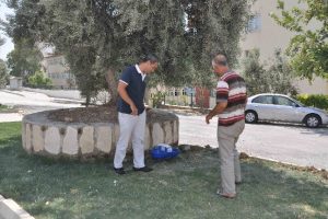 Sokak hayvanları i&ccedil;in suluk