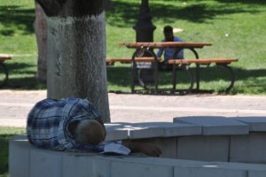 Sıcaklardan bunalanlar g&ouml;lgelik alanlara ka&ccedil;ıyor