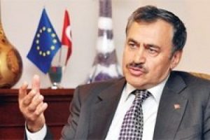 K&ouml;pr&uuml; i&ccedil;in ka&ccedil; ağa&ccedil; kesildi?