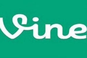 Windows Phone  Vine'ya kavuşuyor