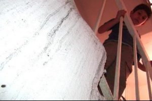 Apartmanda kene kabusu