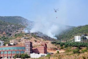 Alanya'da 7 d&ouml;n&uuml;m makilik alan yandı
