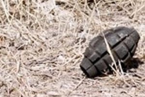 &Ccedil;oban ihbarı ile 10 el bombası bulundu