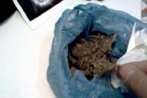 Uyuşturucu operasyonu: 15 kişi tutuklandı