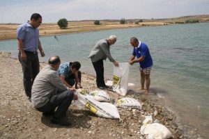 G&ouml;letten &ccedil;uvallar i&ccedil;inde hamur &ccedil;ıktı