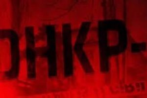 DHKP-C üyesi İspanya'da yakalandı