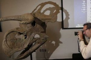 Yeni bir dinozor t&uuml;r&uuml; bulundu