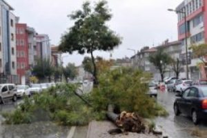 Fırtına yıktı ge&ccedil;ti