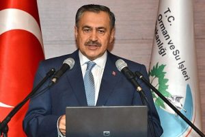Orman yangınlarında zafiyet var mı?