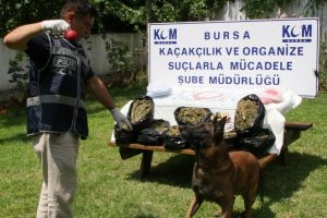 Bursa'da uyuşturucu operasyonu