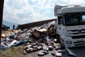 İ&ccedil;ecek y&uuml;kl&uuml; TIR şarampole devrildi