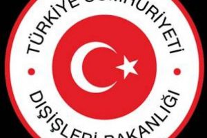 T&uuml;rkiye'den Mısır'a silah iddiası