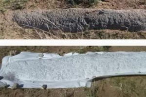 Moğolistan'da yeni T&uuml;rk kitabeleri bulundu