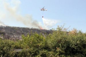Bursa'da orman yangını