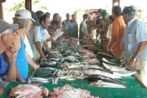 Ramazan'da balık fiyatları d&uuml;şt&uuml;