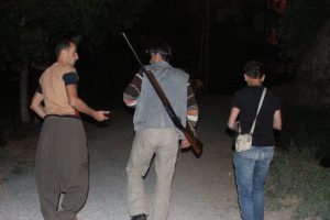 Pirin&ccedil; tarlalarında domuz n&ouml;beti