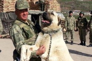 Kalp krizi ge&ccedil;iren uzman &ccedil;avuş toprağa verildi