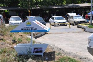 Nil&uuml;fer'den &Ccedil;ınarcığa, &Ccedil;ınarcık'tan t&uuml;m yurda