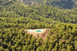 Ağa&ccedil;lar dikilirken artık hayvanlar da d&uuml;ş&uuml;n&uuml;l&uuml;yor