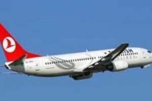 THY u&ccedil;ağında kene paniği