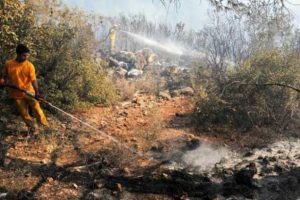 Antalya'da orman yangını
