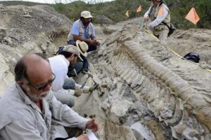 72 milyon yıllık dinozor kuyruğu