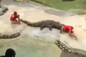 Şov yapayım derken kafayı kaptırıyordu
