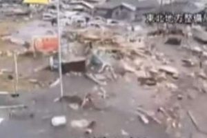 Tsunami b&ouml;yle vurdu