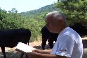 Diplomalı &ccedil;oban
