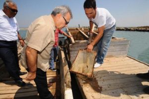 İzmir K&ouml;rfezi &ccedil;ipurayla dolacak