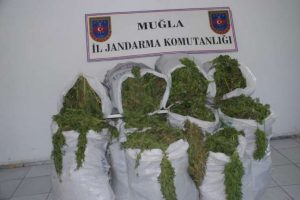 Turistik merkezde 111 kilo esrar