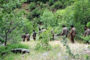 'Sadece 12 hasta PKK'lı &ccedil;ekildi' iddiası!
