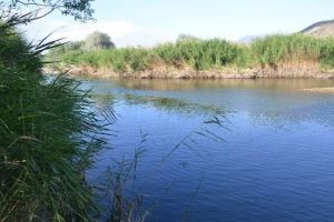 Irmakta koybalan iki gencin cesedine ulaşıldı