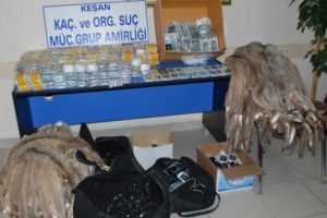 Minib&uuml;sten ka&ccedil;ak k&uuml;rk &ccedil;ıktı
