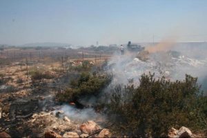 Didim'de 6 hektar makilik alan yandı