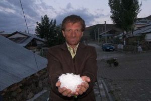 Ceviz b&uuml;y&uuml;kl&uuml;ğ&uuml;nde dolu yağdı