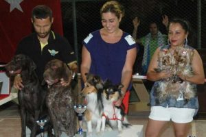 Bu da k&ouml;pek defilesi