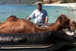 Şişme botla deve kurtarma operasyonu