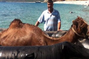 Şişme botla deve kurtarma operasyonu