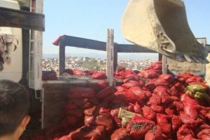 Bursa'da midye operasyonu